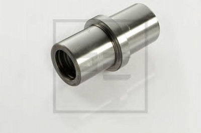 PE AUTOMOTIVE 03134100a -  Болт поворотного кулака